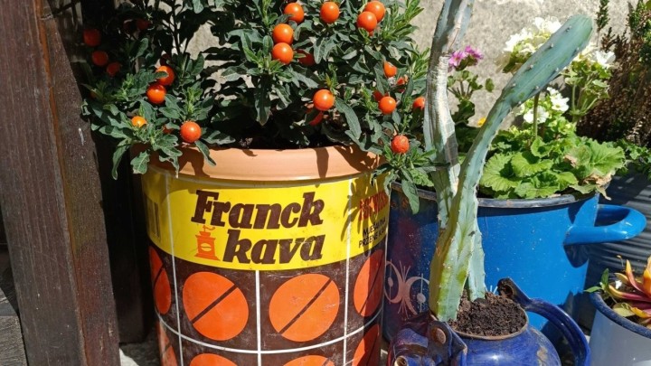 Franckova limenka u sasvim novoj ulozi: Pogledajte ovu kreativnu ideju