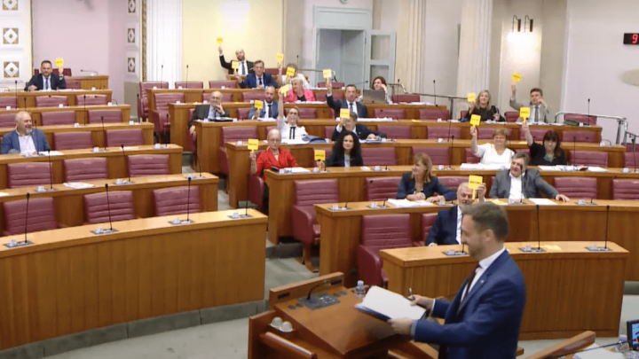 Piletić nije ni počeo govoriti, a većina zastupnika HDZ-a javila se za repliku