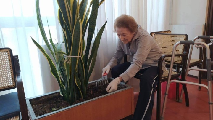 Vrtna terapija unutra? Idealno rješenje za zimu i nametnutu karantenu!