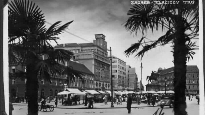 Palme na trgu bana Jelačića? Zvuči nezamislivo, ali pogledajte!