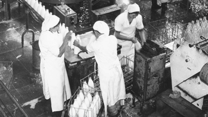 Evo malo fotografija mliječne industrije iz Jugoslavije, kada "nije bilo" jogurta na policama