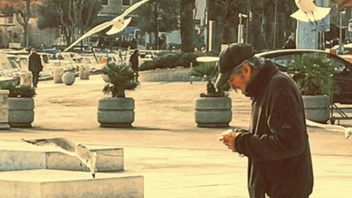 Matejuška - poznato okupljalište ribara i starijih ljudi koji se brinu o gradskim pticama