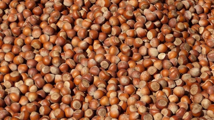 Umirovljeniku iz dvorišta ukrali lješnjake i aronije, a šteta iznosi više stotina eura