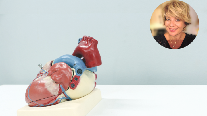 Svjetski dan srca: 'Uz današnju terapiju većina može imati zadovoljavajuću kvalitetu života unatoč bolesti'