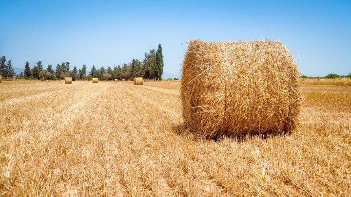 Niže od najnižih: Poljoprivredne mirovine su strahovito male, država stočarima i ratarima zauzvrat daje mrvice