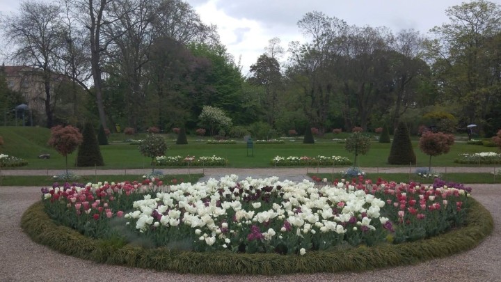 Sutra možete posjetiti Botanički vrt uz vođenu turu i to potpuno besplatno