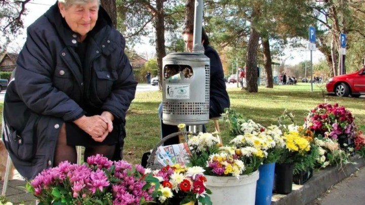 [ANKETA] Koliko planirate potrošiti novaca na cvjetne aranžmane za blagdan Svih svetih?