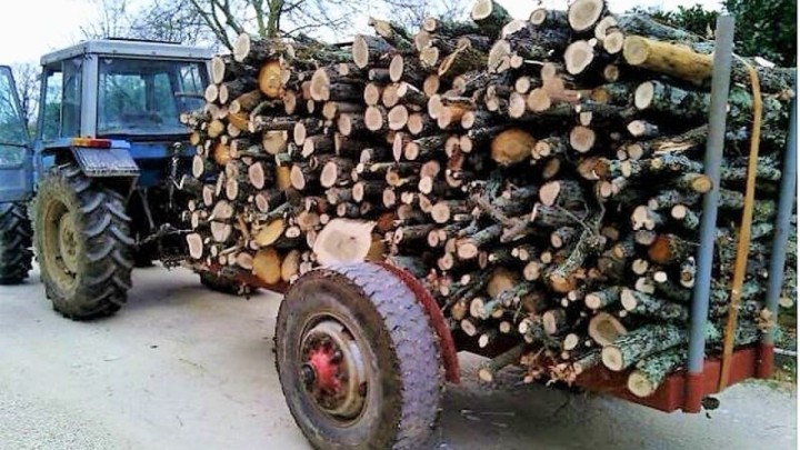 Umirovljenik iz Save svaki dan skuplja drva koja onda poklanja prijatelju za ogrjev