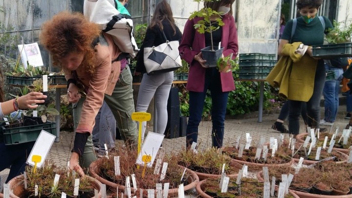 Ovu subotu u Botaničkom vrtu u Zagrebu možete kupiti višak njihovih biljaka po akcijskim cijenama