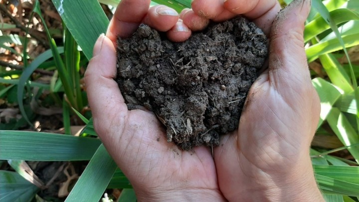 Mali vodič o kompostiranju: dvorište, balkon ili stan - kompost stvori sam