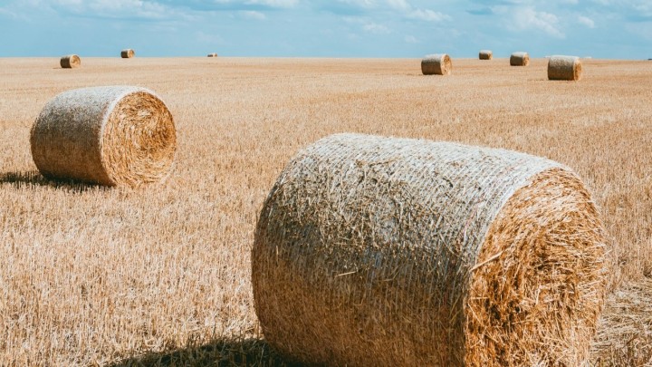 Tragedija izbjegnuta za dlaku: 66-godišnjakinja zapalila suhu travu i izazvala požar