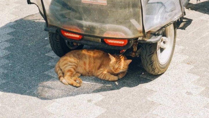 Civilna zaštita ususret vrućinama objavila preporuke za zaštitu zdravlja