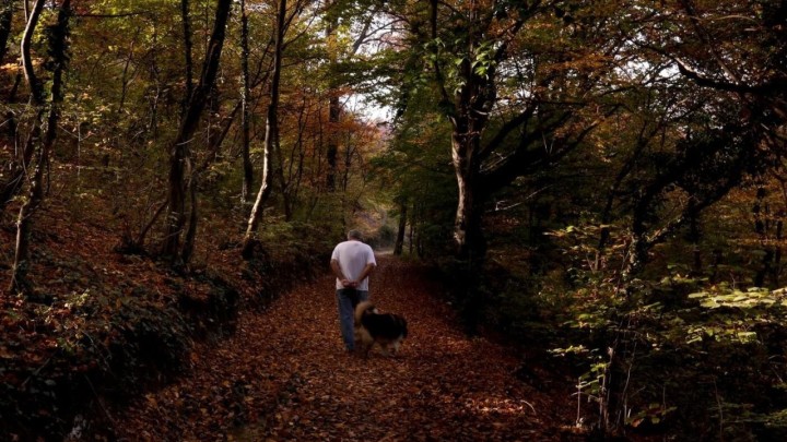 Zagrebački holding za 150 kuna poziva starije: "Zbigecajte se i dođite na Sljeme"