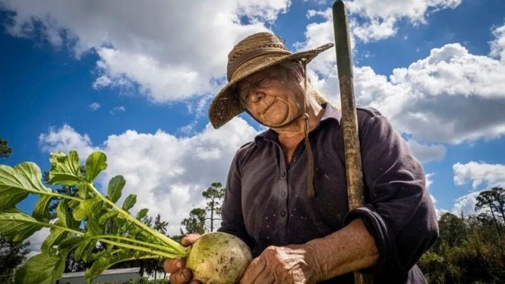 [ANKETA] Umirovljenici, imate li vrt i hoćete li ga "pojačati" zbog poskupljenja?