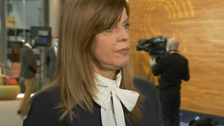 Borzan: "Stariji će lakše prihvatiti par-nepar vožnju i redukcije struje"