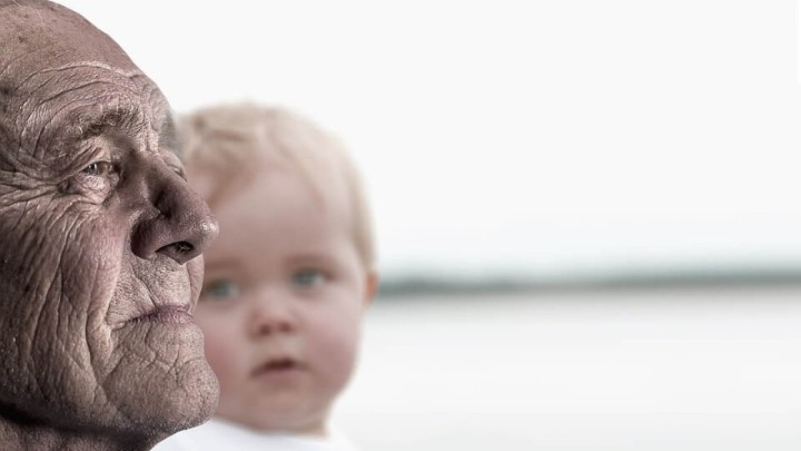 Pogledajte koliko je starijih od 60 godina među preminulima od korone!