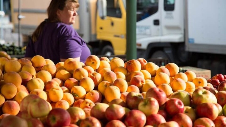 Umirovljenica sa 1.700 kuna mirovine: "Godinu dana nisam kupila kilogram breskvi"