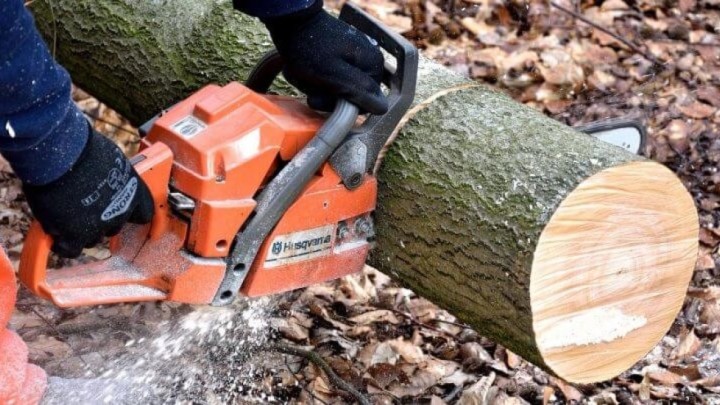 Umirovljenik (84) rušio hrast, stablo se okrenulo i palo na 58-godišnjakinju