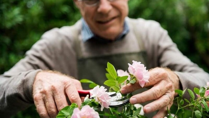 Umirovljenici u velikoj akciji čišćenja i pripremanja staklenika za cvijeće