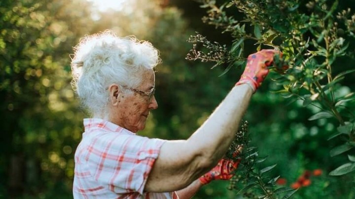 Oni su uvjerljivo najsiromašniji umirovljenici: Njih tisuću prima samo 313 kuna mirovine!