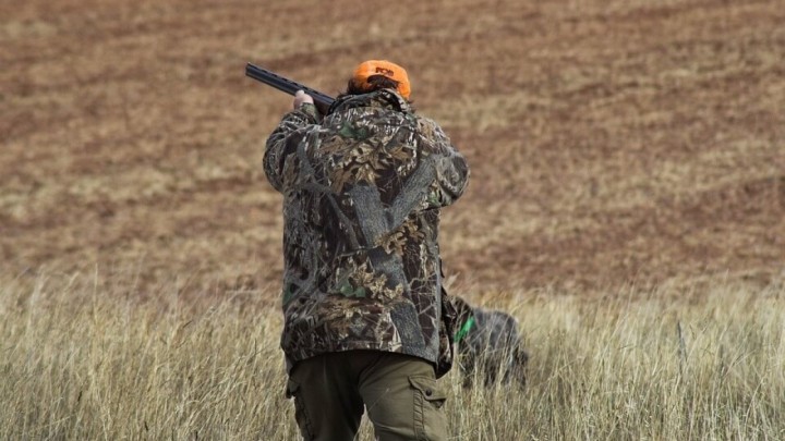 Umirovljenik iz čista mira hladnokrvno ubio psa Medu, pucao i prema vlasniku