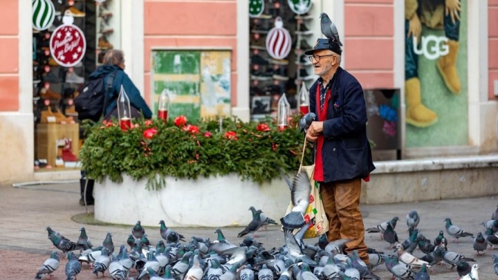Dobri duh Pule: Popularni umirovljenik opet oduševio fotogeničnim hranjenjem golubova
