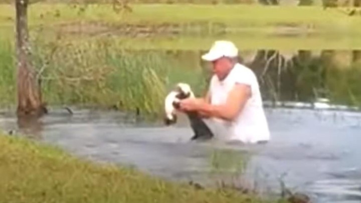 [VIDEO] Hrabri umirovljenik iz ralja aligatora istrgnuo svog tromjesečnog psića