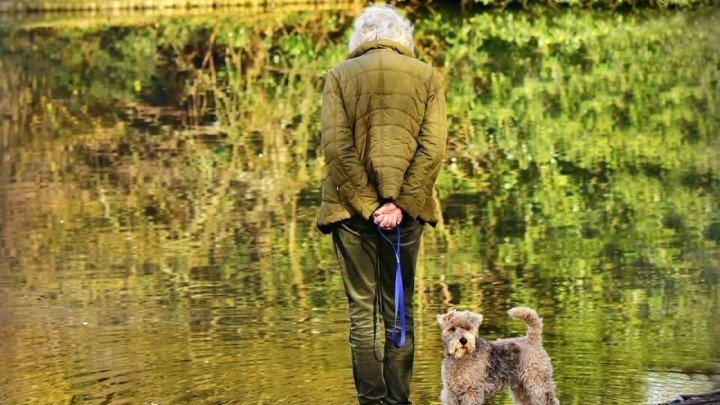 Umirovljenica o premijeru i predsjedniku: "Meni kao staroj babi od 83 godine smeta njihovo ponašanje"