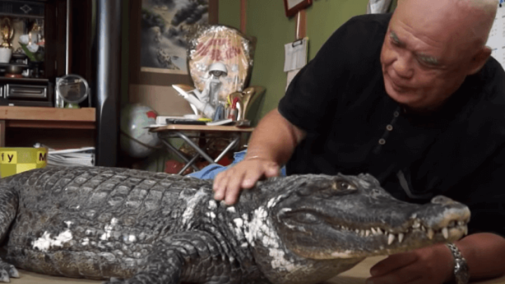 [VIDEO] Penzića je baš briga, za kućnog ljubimca ima aligatora