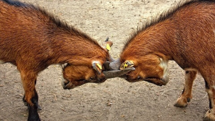 [KOMENTAR]  Zašto su umirovljenici bijesni zbog većeg staža za njihove unuke i kćeri?