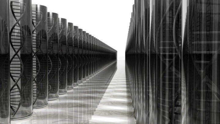 Istraživanje dugovječnosti putem gena: Start-up tvrtka traži "super-ljude" i one u dubokoj starosti