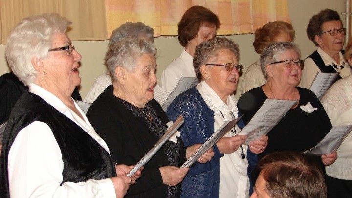 Uz Đanija Stipaničeva pjesmom proslavili deseti rođendan Dnevnog boravka