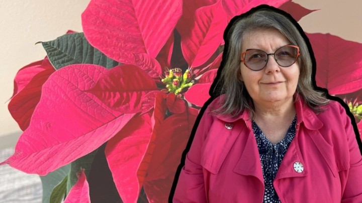 Kako brinuti o božićnoj zvijezdi: Savjete nam je dala profesorica Židovec