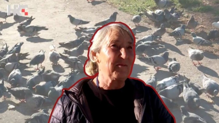 Umirovljenica Mira već deset godina hrani golubove: 'Moj život je ispunjen'