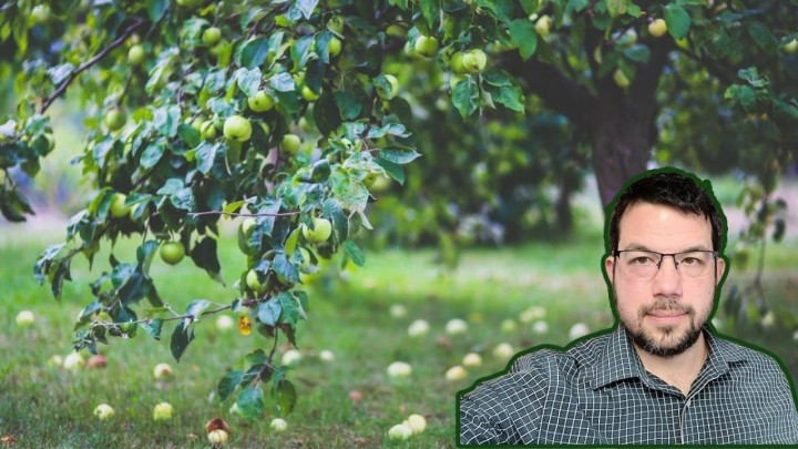 Kako pripremiti voćke za zimu: Razgovarali smo s profesorom Goranom Frukom