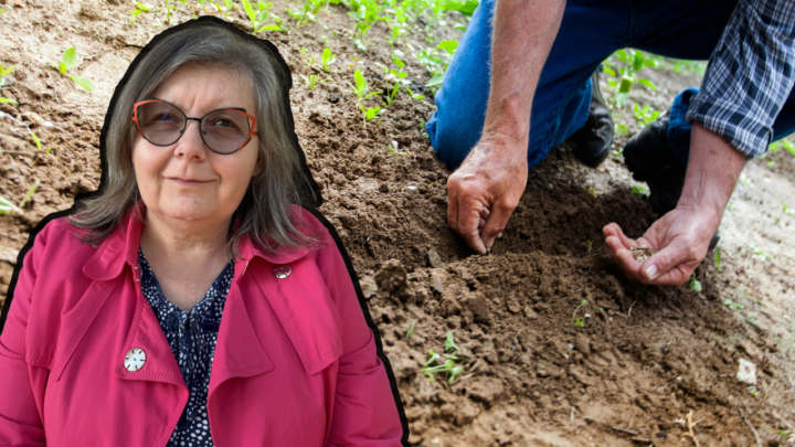 Profesorica o ljetnom vrtu: Rjeđi su postupci sadnje, a uspijevaju dvije vrste začina