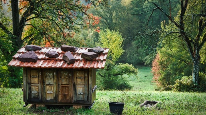 Novi slučaj trovanja pčela doveo do masovnog pomora: Oglasio se Pčelarski savez