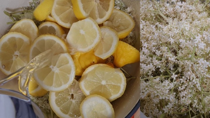 Sok od bazge najbolji je uvod u ljeto: Donosimo jednostavan recept