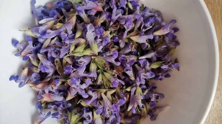 Bakina kuhinja: Sirup od cvijeta kadulje pravo je proljetno osvježenje