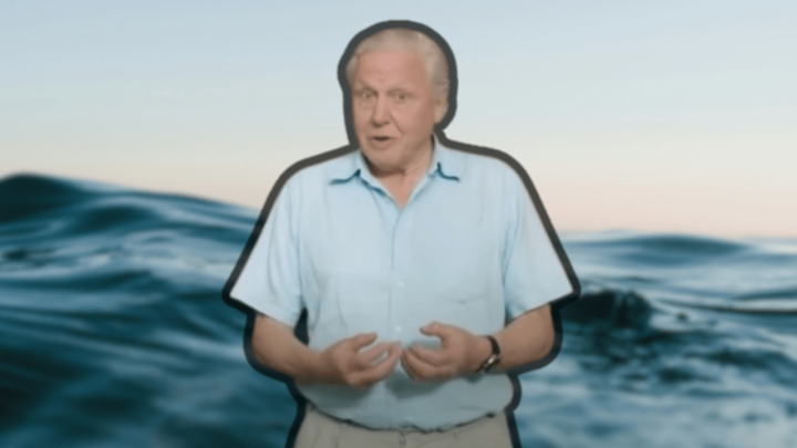 Poznati prirodoslovac u 99. godini otkrio: 'Gotovo nam je isteklo vrijeme'