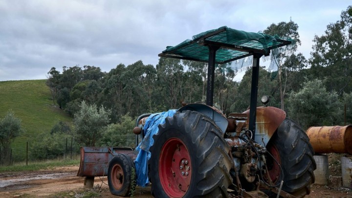 Hrvatska sve više ovisi o uvozu hrane: Minus veći od dvije milijarde eura