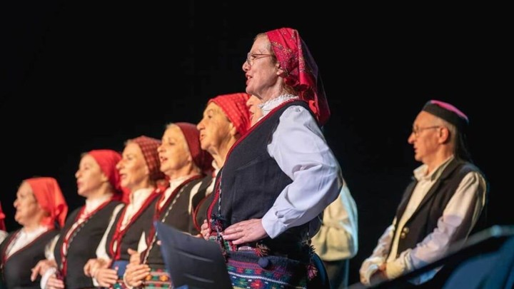 Udruga invalida rada Zagreb: Besplatni koncert u čast Zlatka Bočkala