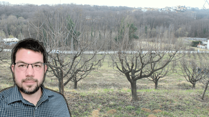 Rezidba voćaka: Profesor nam je otkrio kako se pravilno radi, ali i koji je alat najbolji