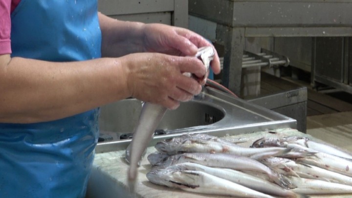 Video: Za čišćenje ribe potrebna vam je niti minuta posla uz ovaj alat koji svi imaju