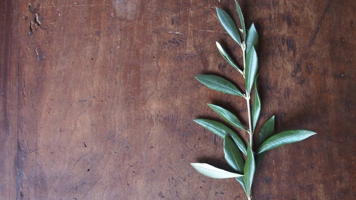 Znate li što je Cvjetnica i koji se običaji vežu uz nju?