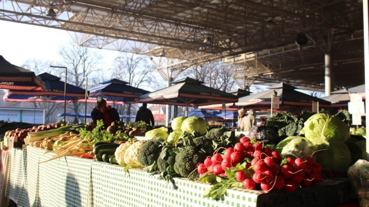 Nemojte propustiti ovu priliku: U jednom gradu se dijeli sjeme starinskih i egzotičnih rajčica