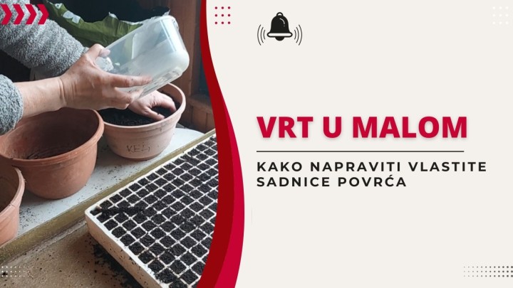 Čitateljica nam je poslala video sadnje povrća, a jeste li se vi već bacili na ovaj posao?