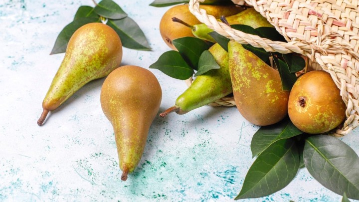 Voće prepuno visokim razinama pesticida: Kamion iz Turske zaustavljen je na granici s Hrvatskom