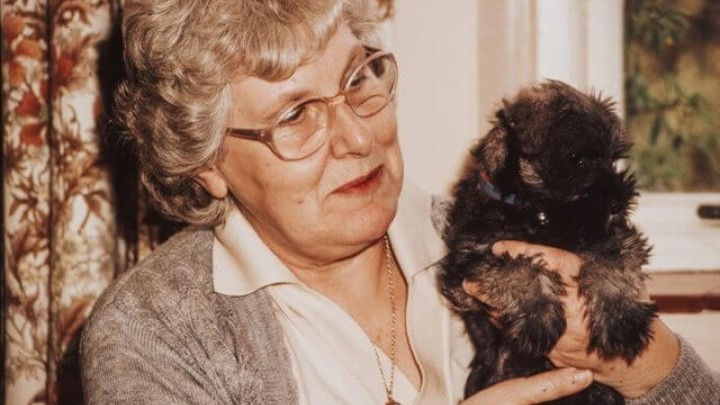 Pitali smo Zadarski azil: Što umirovljenici moraju znati prije nego li udome psa?