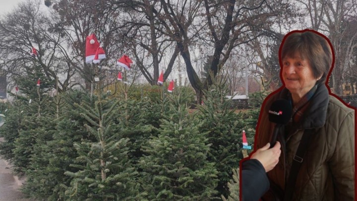 Sve više umjetnih borova, a manje pravih: 'Umirovljenici vole da im kuća zamiriši kao nekad'